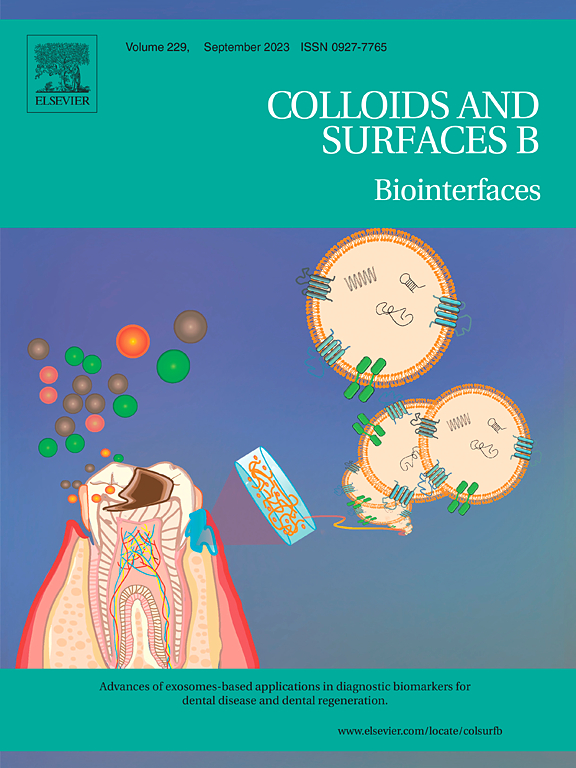 Go to journal home page - Colloids and Surfaces B Biointerfaces